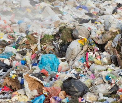 Martwy noworodek w sortowni śmieci. Matka usłyszała zarzut dzieciobójstwa