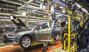 Ruszyła produkcja nowego Opla Insignii. Jeden z trzech pierwszych egzemplarzy trafi do Polski