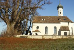 Pracują za "co łaska". Księża powierzają im nie tylko kuchnie