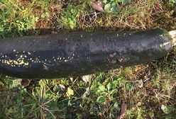 81-latek postawił na nogi policję. Myślał, że znalazł w ogrodzie niewybuch z okresu II wojny światowej