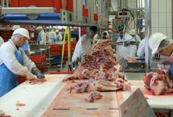 "Podatek od mięsa ma podstawy ideologiczne". Rząd odrzuca pomysł na daninę od mięsożerców