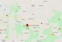 Wypadek w rezerwacie Sokole Góry pod Częstochową. Nie żyje turystka
