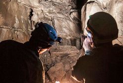 Kompleks czterech nieznanych dotąd jaskiń odkryli pasjonaci na terenach leśnych w granicach Bielska-Białej
