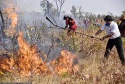 Amazonia. Boliwa dostanie pomoc ze strony Unii Europejskiej