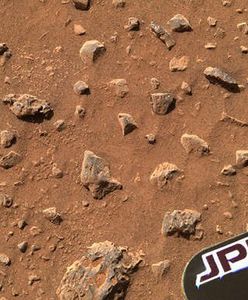 Jest woda na Marsie!