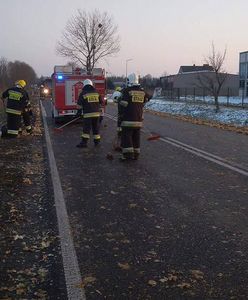 Z tira wysypała się cebula. Kierowcy zatrzymywali się i zbierali ją z jezdni