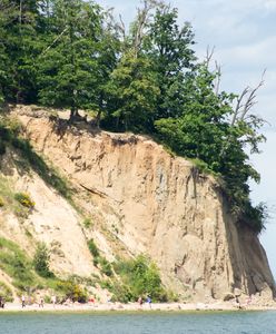 Gdynia. Klif Orłowski z roku na rok znika coraz bardziej