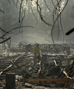 Kalifornia: Pożar zabił już 83 osoby. 570 uznaje się za zaginione