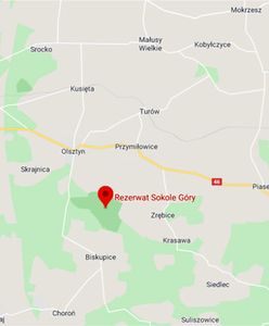 Wypadek w rezerwacie Sokole Góry pod Częstochową. Nie żyje turystka