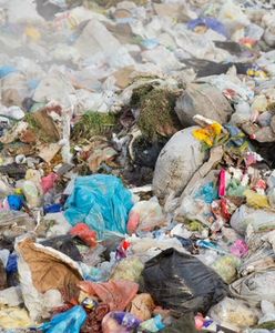 Martwy noworodek w sortowni śmieci. Matka usłyszała zarzut dzieciobójstwa