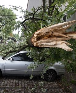 Już osiem ofiar śmiertelnych nawałnicy na zachodzie kraju