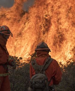 Kalifornia. Najtragiczniejszy pożar w historii stanu