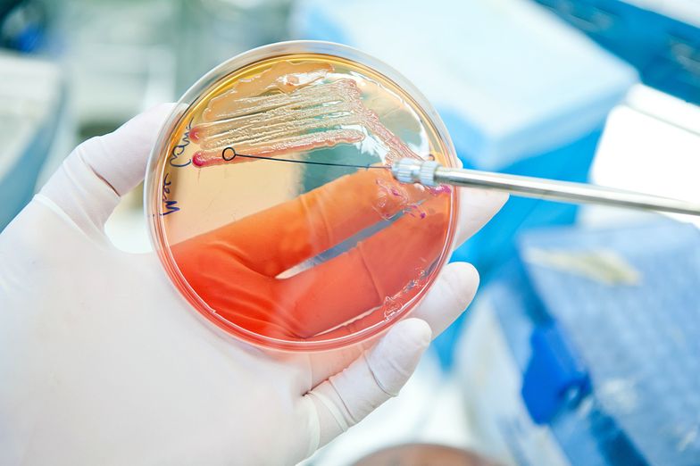 Działalność badawczo-rozwojowa. Jakie zmiany w 2019 roku?