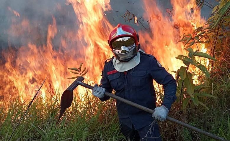 #UgaśmyPłucaŚwiata. Pożary w Amazonii. Twarde dane. Czy powinniśmy martwić się o tlen?