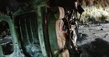 Niedźwiedź skoczył na radiowóz. Policjant ledwo uszedł z życiem