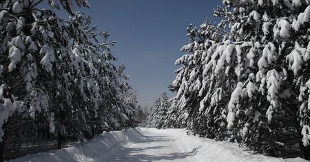 Prowadzący w czasie pełni Księżyca częściej giną na drodze. Badanie pokazuje dziwną prawidłowość