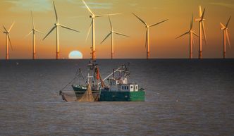 Morskie wiatraki coraz popularniejsze. Polska ma w tym zakresie duże plany