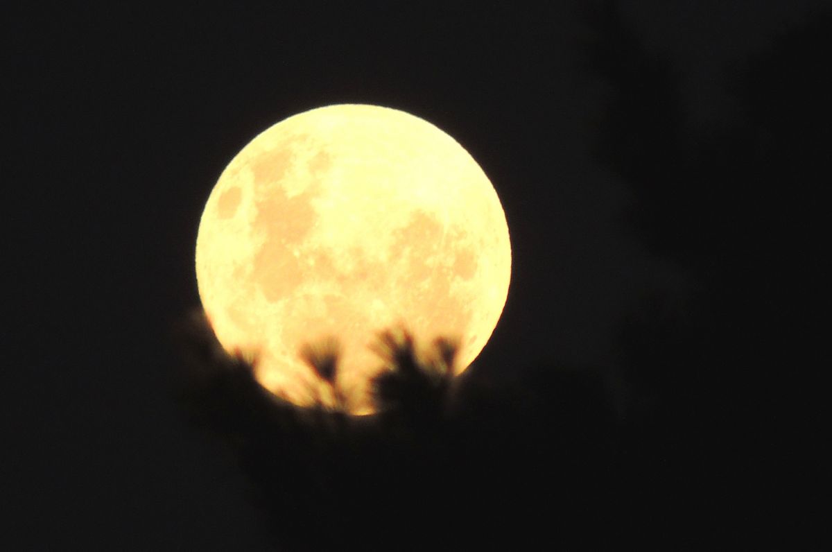 Blue Moon w Wielką Sobotę. Wyjątkowe zjawisko na niebie