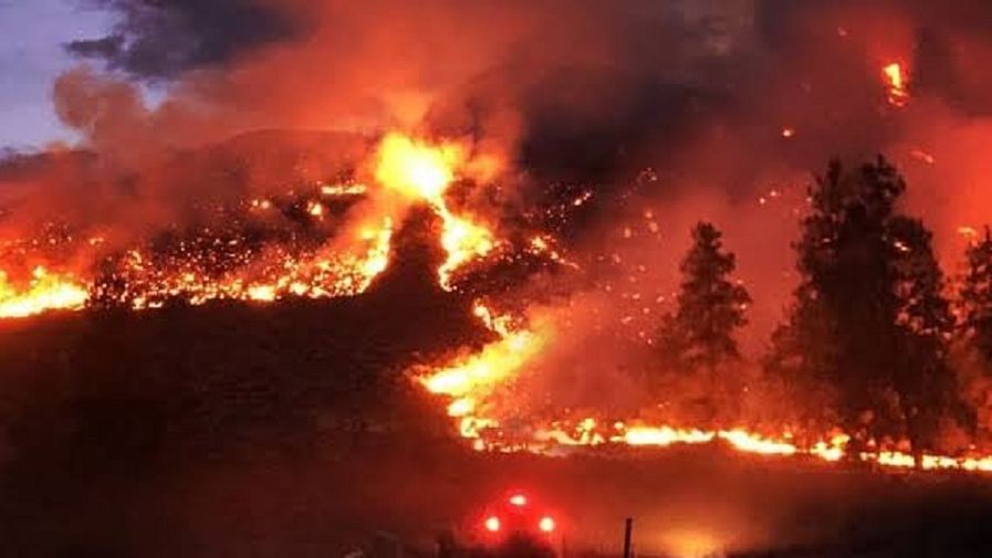 Pożar w lasach Amazonii