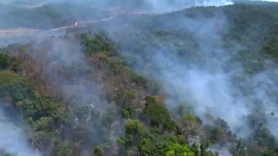 Pożar lasów w Amazonii