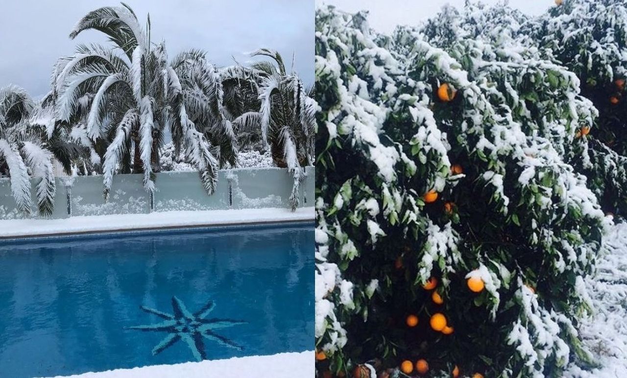 Palmy pod śniegiem. Zima zaskoczyła Hiszpanów