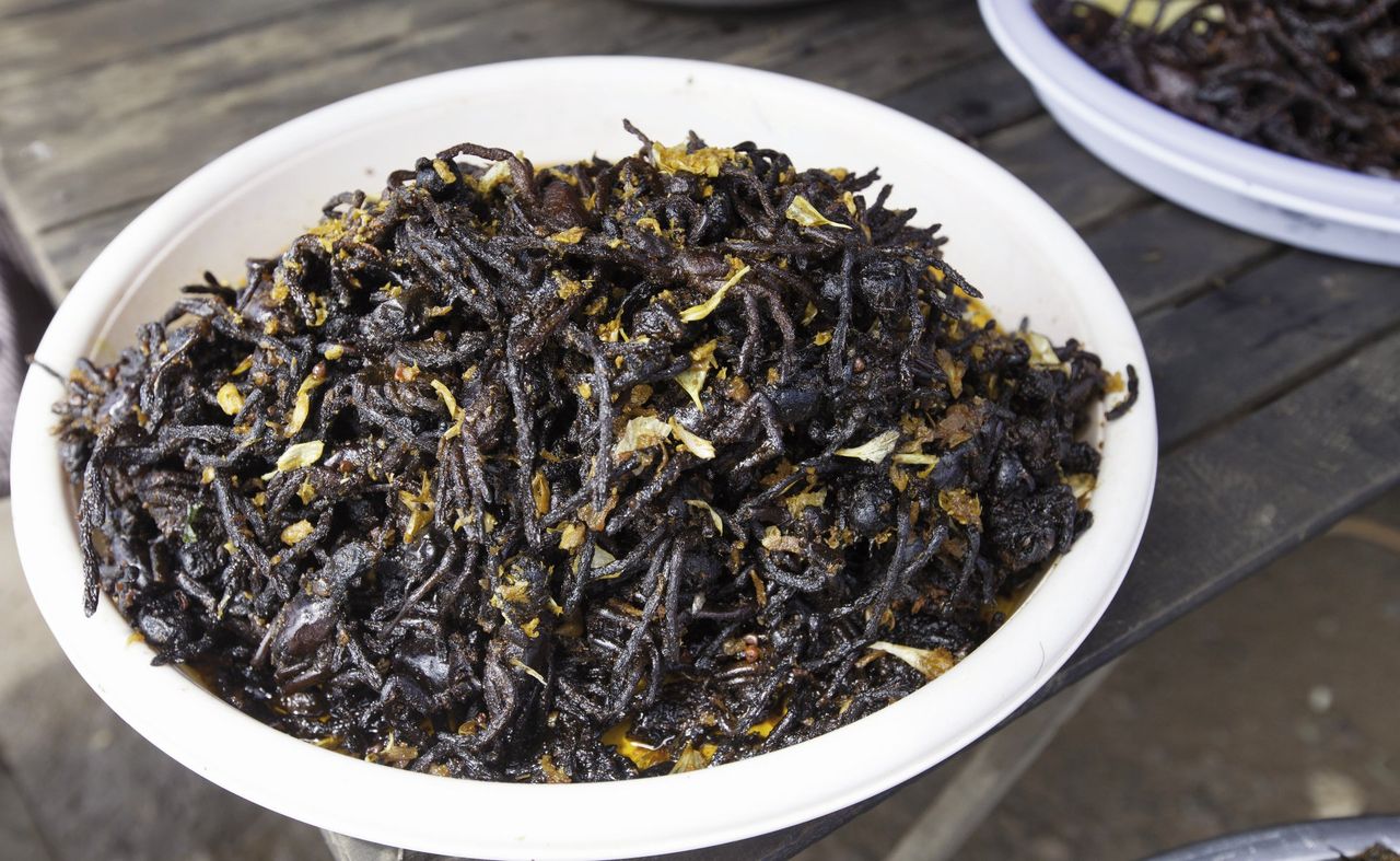 Podróże, przygody i... najobrzydliwsze potrawy świata