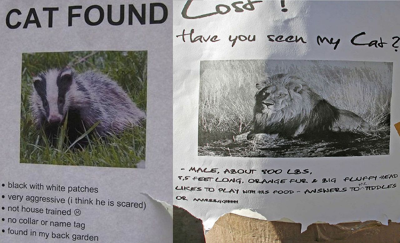 Obok tych ogłoszeń nie przejdziesz obojętnie