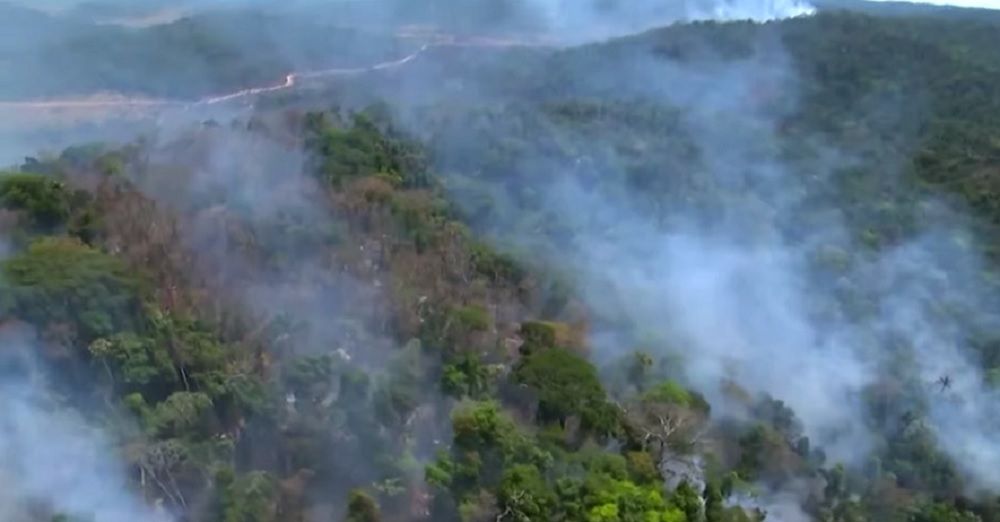 Amazonia. Trwa pożar największego lasu na świecie. Z żywiołem walczy 44 tys. żołnierzy