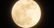 Krwawy Księżyc już w niedzielę 13 października. To jedna z najbardziej niezwykłych pełni w roku zwana także Pełnią Myśliwych