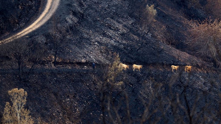 68-latek był reanimowany (zdjęcie ilustracyjne)