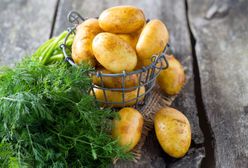 Młode ziemniaki - jak najlepiej je przygotować?