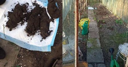 Nawóz do szklarni ze szczeniąt. Poznanianka przed sądem