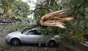 Wrocław: efekty huraganu Ciara w regionie