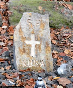 Legnica. Spadający konar zabił 13-latka. Nauczyciel oskarżony