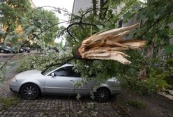 Wrocław: efekty huraganu Ciara w regionie