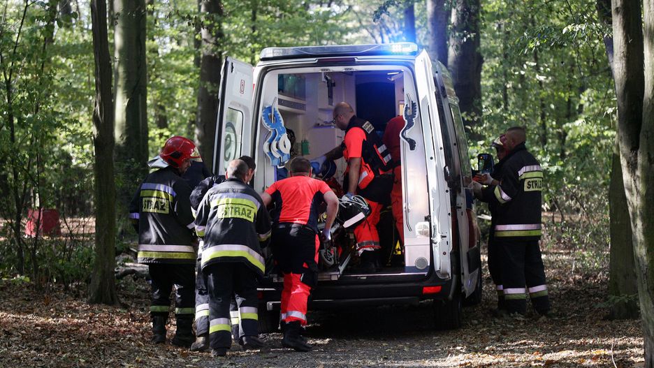 Konar spadł na 13-latka. Chłopiec w stanie ciężkim trafił do szpitala