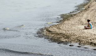 Sinice znów atakują. Właściciele pensjonatów boją się powtórki z zeszłego roku