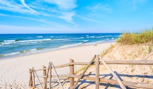 Sinice wciąż groźne. Lista czynnych kąpielisk