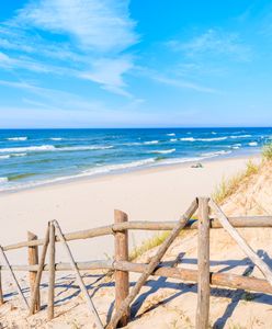 Sinice wciąż groźne. Lista czynnych kąpielisk