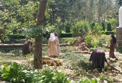 Franciszkanki z Orlika sprzątają po nawałnicach. "Serce kraje się, że nie możemy wszystkich prac zrobić"