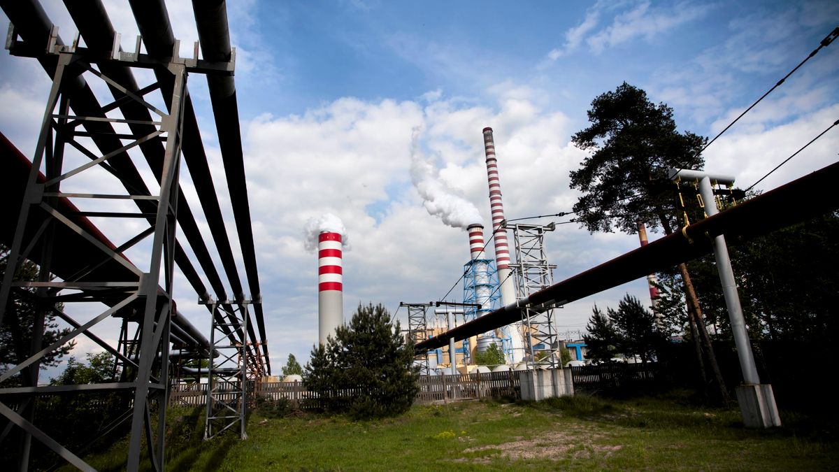 Domyślny opis zdjęcia na stronę główną