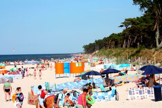 Gminy morskie nie pilnują plaż i klifów. Alarmujący raport NIK