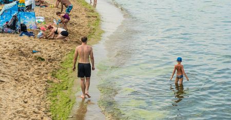 Sinice w Bałtyku. Sanepid zamyka kolejne kąpieliska