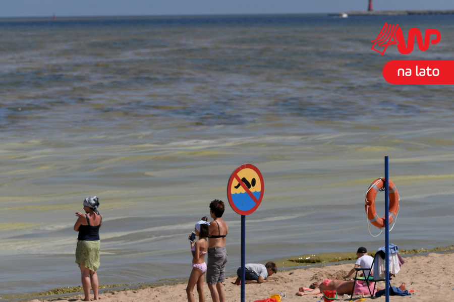 Spoty kurortów kontra rzeczywistość. Turyści spodziewają się pięknych plaż, a dostają sinice