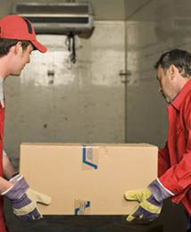 Polaka bez szkoły zatrudnię od zaraz