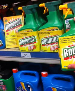 289 mln dolarów dostanie ogrodnik chory na raka. Zapłaci producent środka chwastobójczego