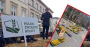 Rolnicy z Agrounii w Warszawie. Nietypowy protest w obronie bazarów i targowisk