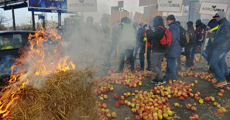 Protest rolników w Warszawie. Świńskie łby na ulicy