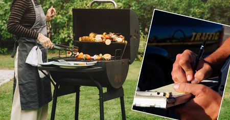 Mandat za grillowanie to nawet 5 000 złotych. Mogą cię spisać we własnym ogródku!