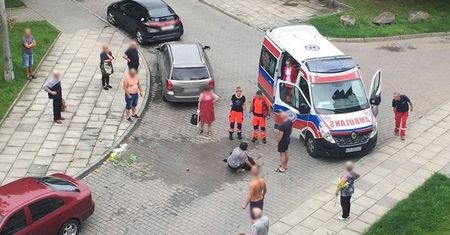 Pitbull zagryzł psa i ranił jego panią. Właściciel psa nie reagował. "To był niefart"